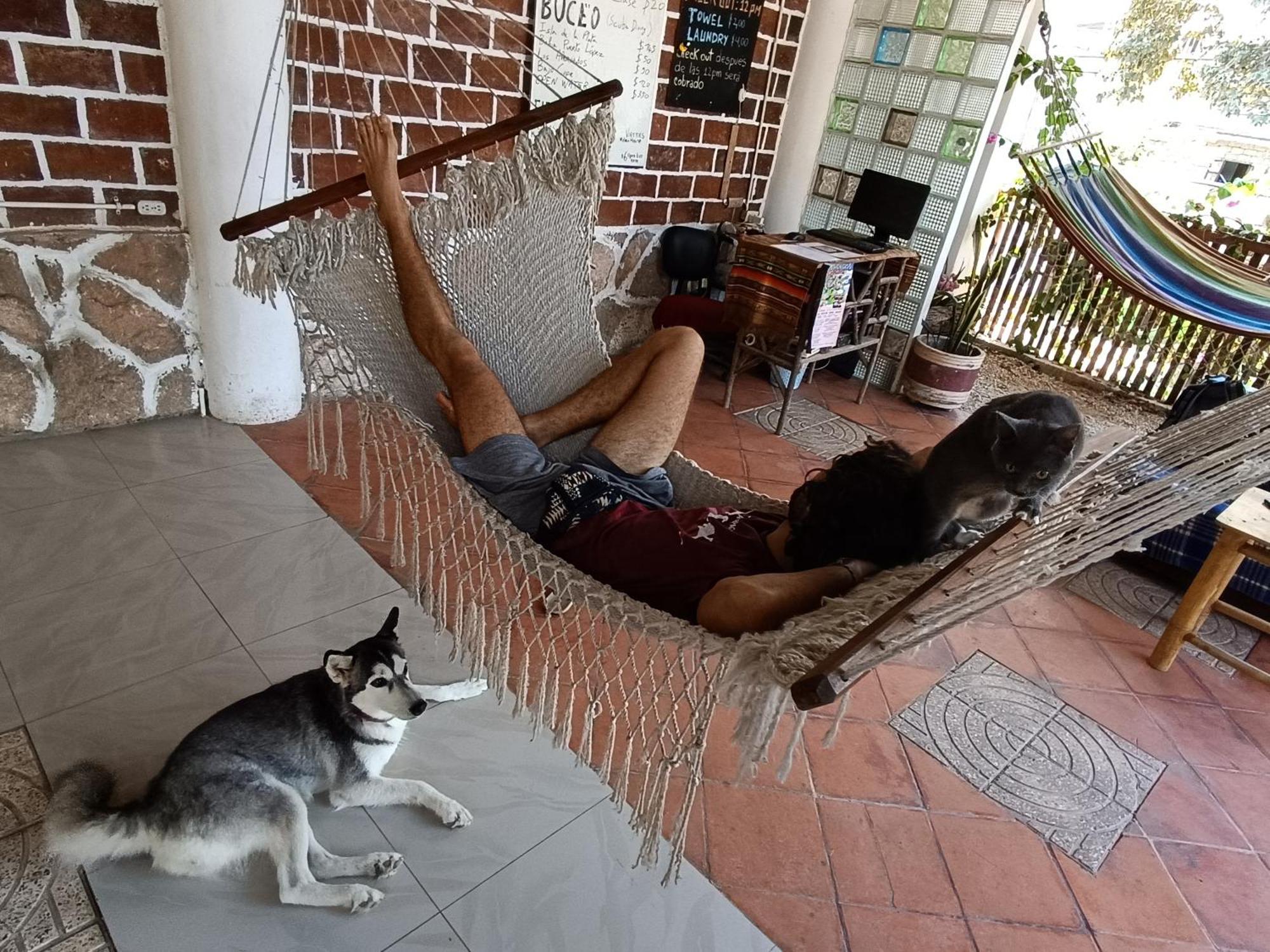 Munay Backpacker Hostel Montañita 外观 照片